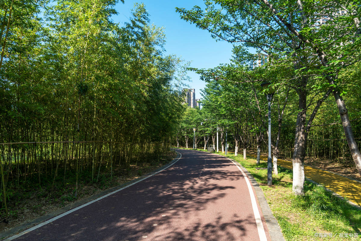 既避免受伤又提升跑步效益 80%的跑者搞错了! 既避免受伤又提升跑步效益 80%的跑者搞错了!